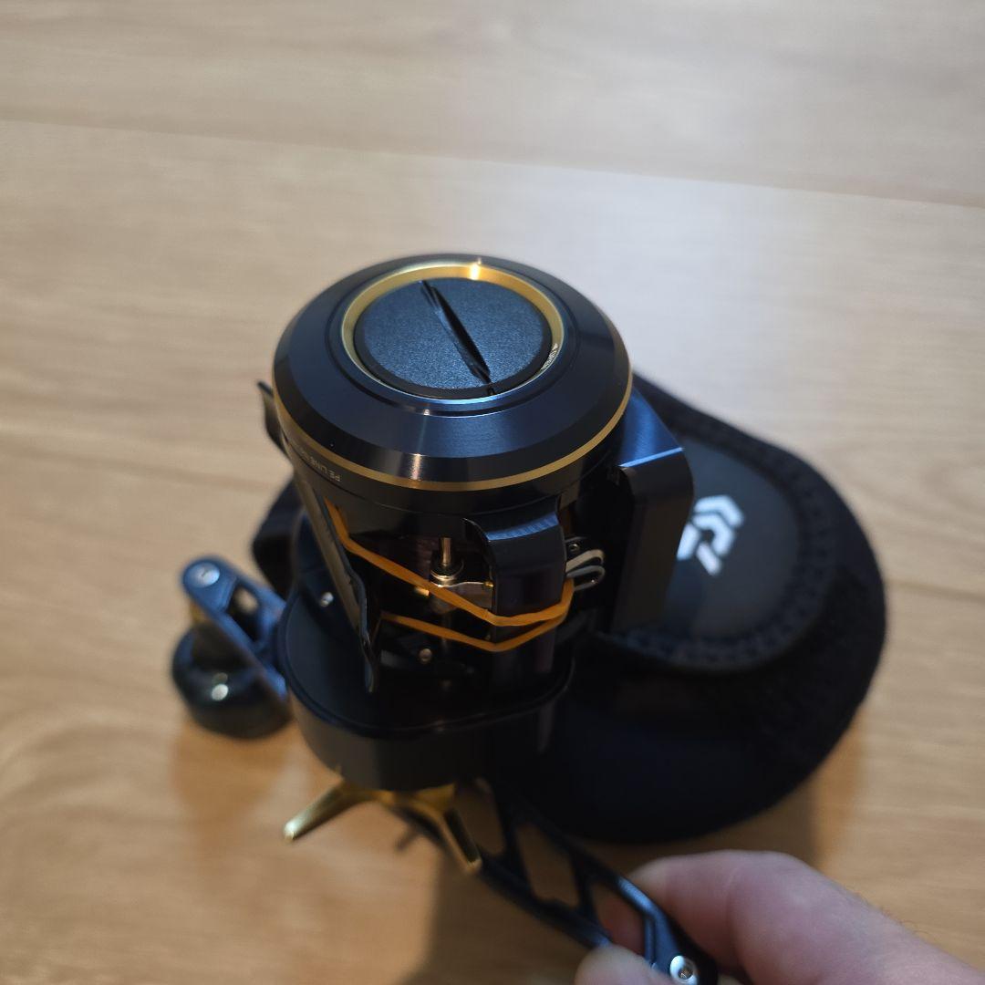 ダイワ Daiwa SALTIGA IC 100PL-DH