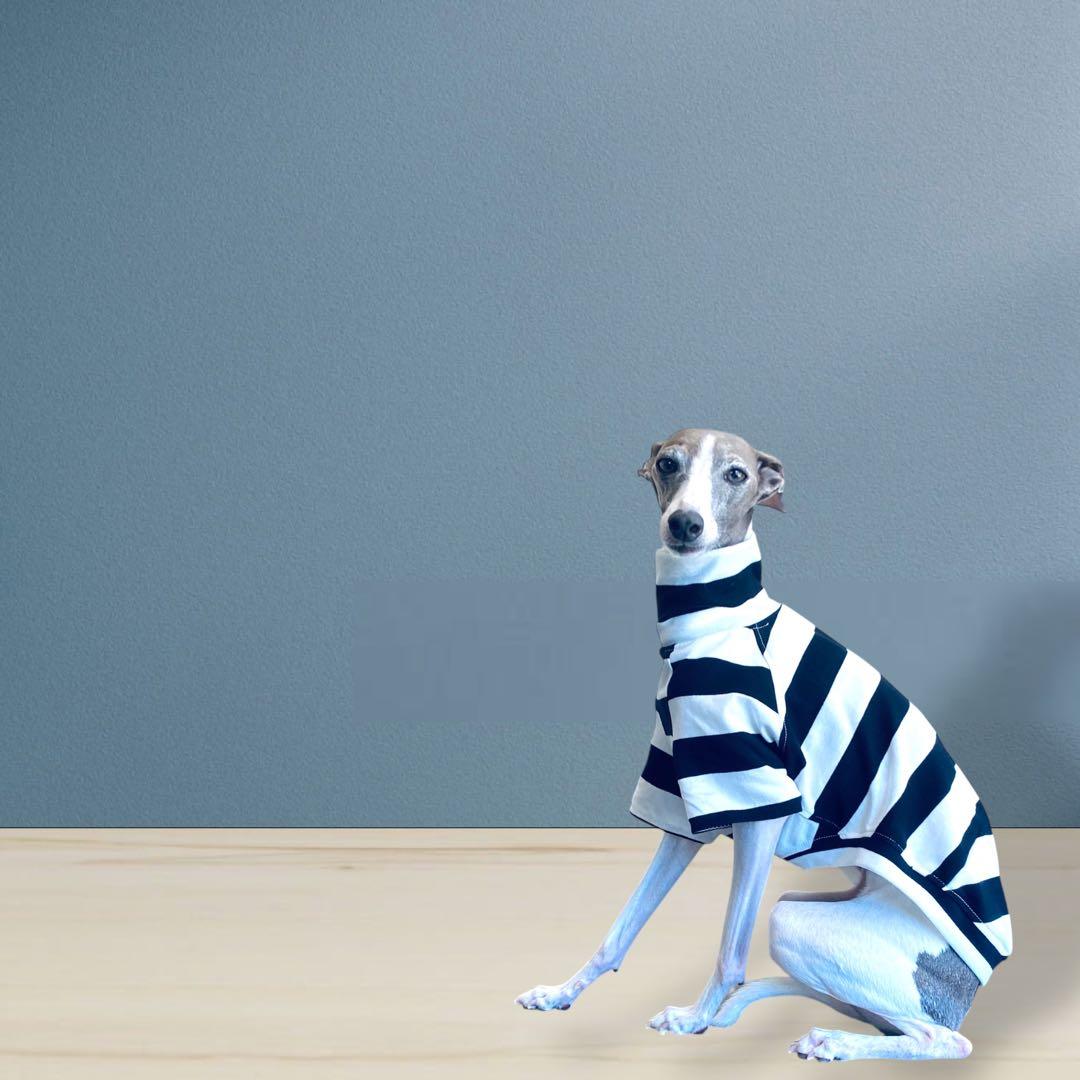 ⑱ボーダーショートスリーブ