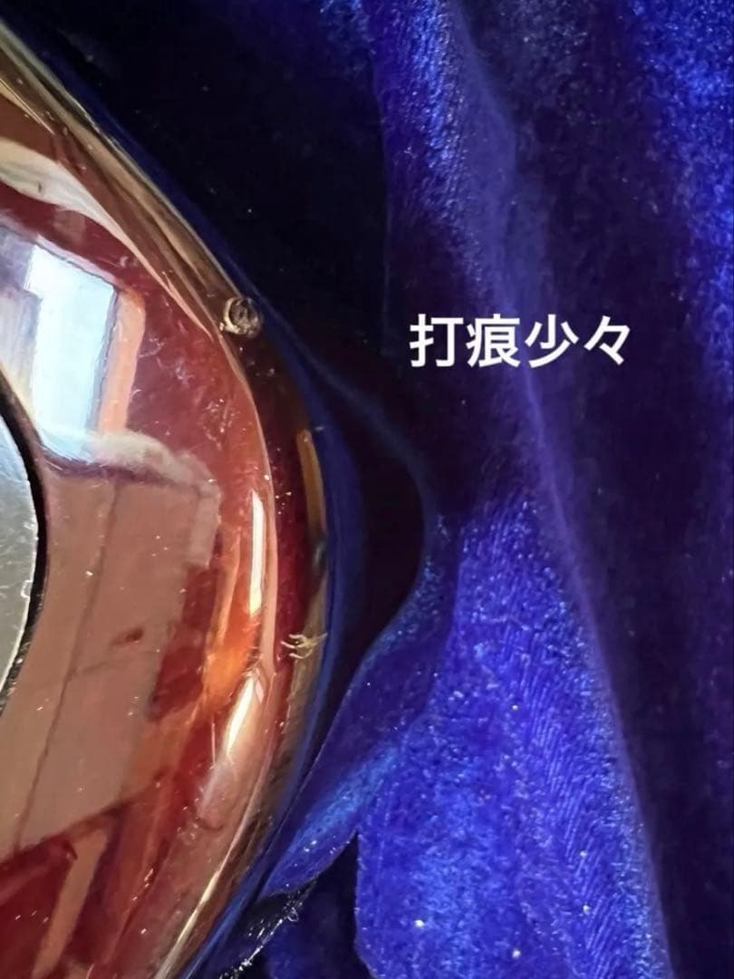 【TOKAI】ファイアバードモデル