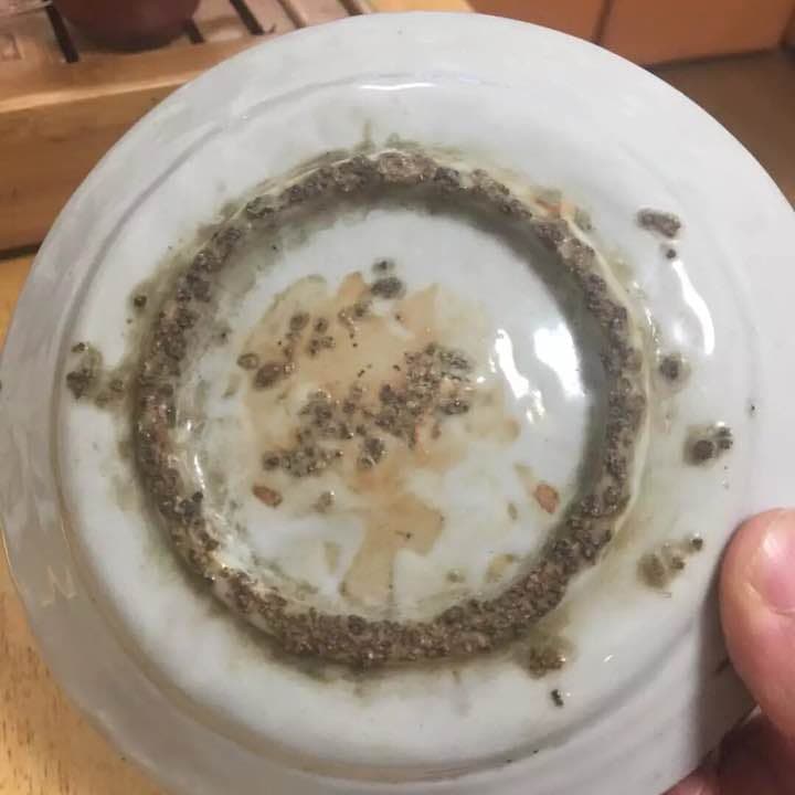 明時代 大皿 中国古美術 花鳥 青花