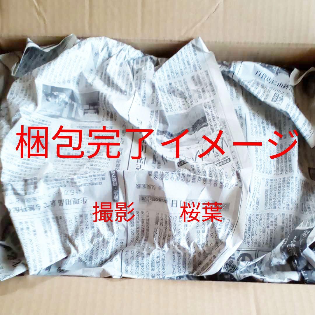 ガンダム逆襲のシャア ガンプラ mg Hi νガンダム Ver Ka. 未組立