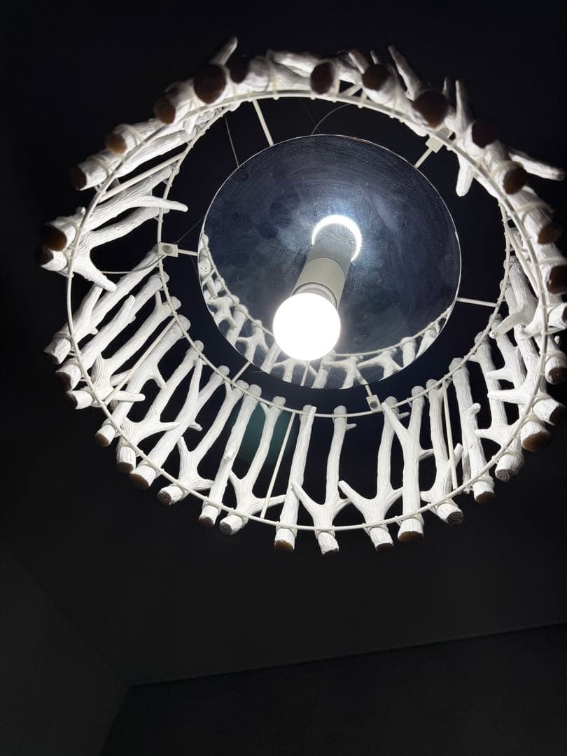 【レア】DI CLASSE ディクラッセ Rami 枝 ペンダントライト