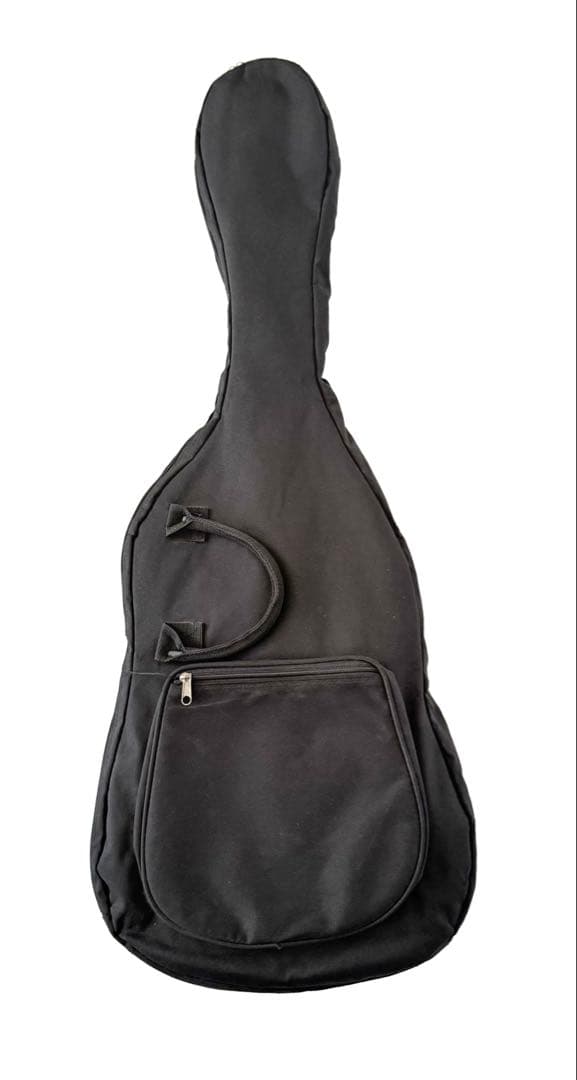 Vintage ICON SERIES V6 エレキギター