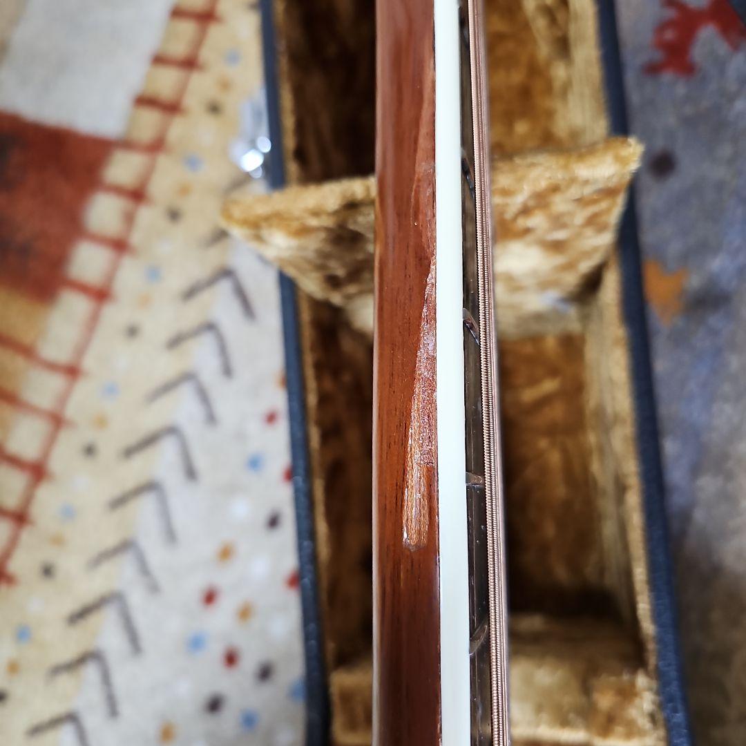 アリアGR-60,ヴィンテージ1975年製トップバック単板! ハードケース付き