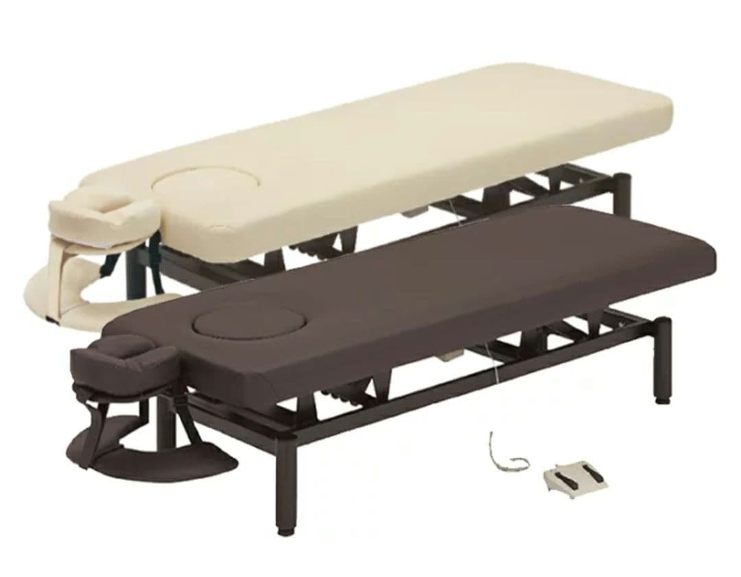 ネチュラ　Electric flat memory FV223 電動昇降ベッド