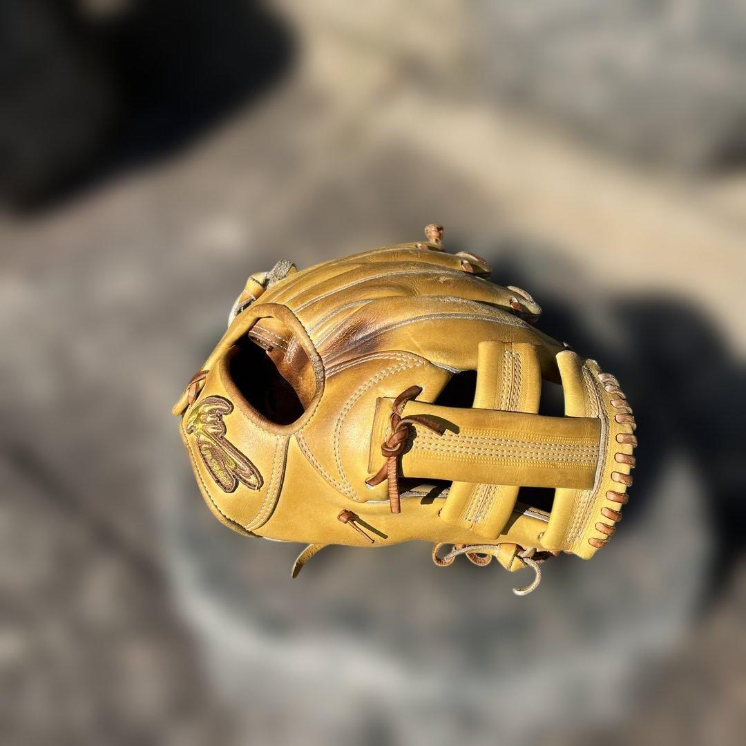 アイピーセレクト　十河モデル