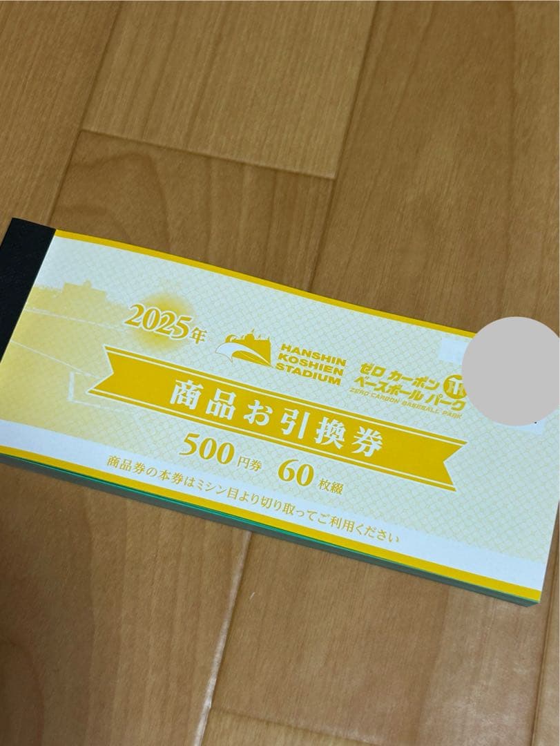 阪神甲子園球場　商品お引換券 500円券60枚セット