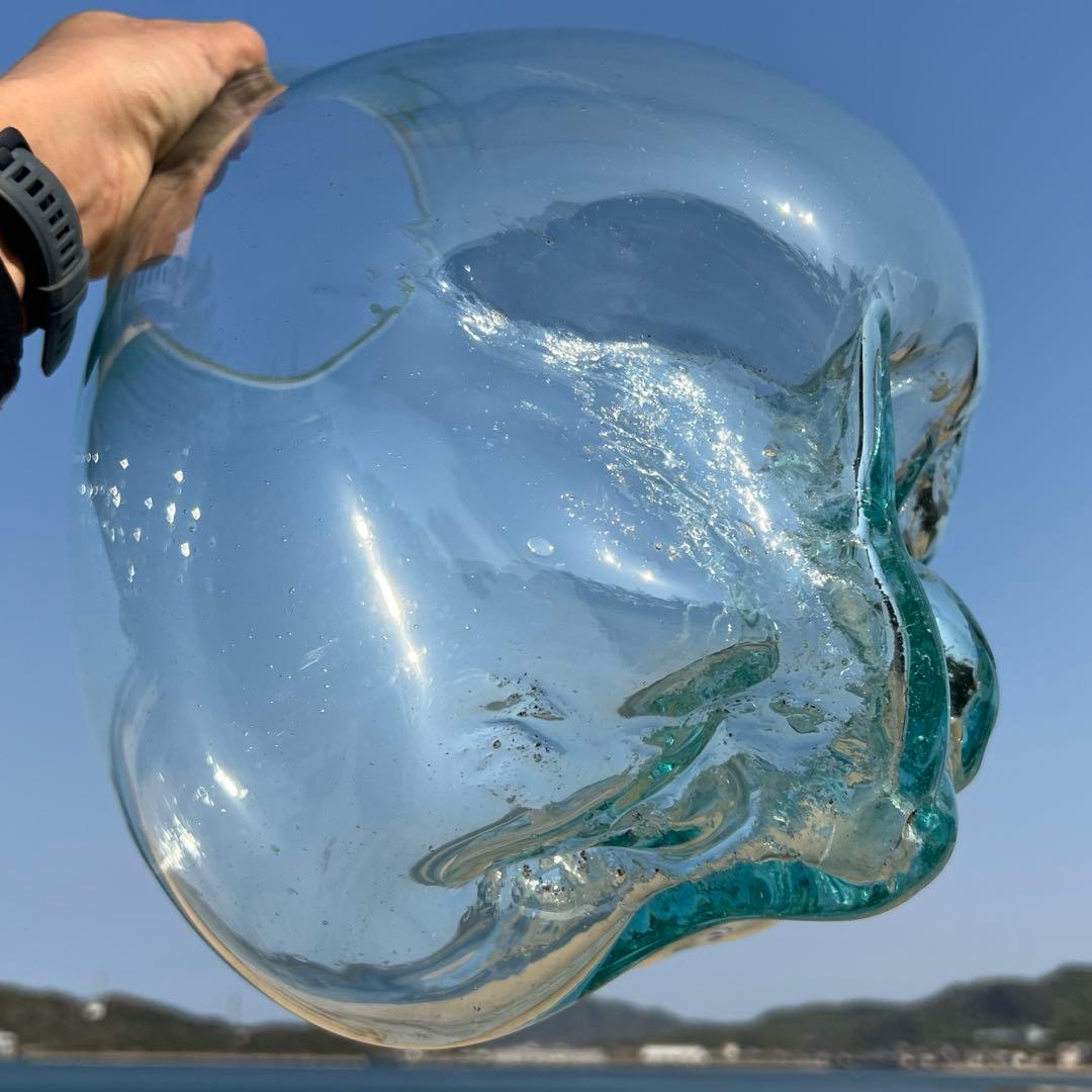 デッカい流木ガラスオブジェWC 花瓶 金魚鉢 水槽 苔リウム メダカ容器 超大型