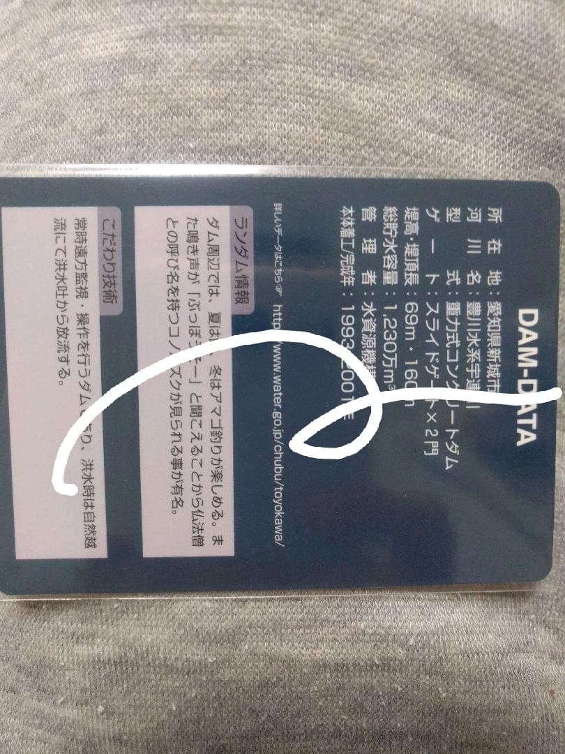 超激レア　ダムカード　誰ももってません