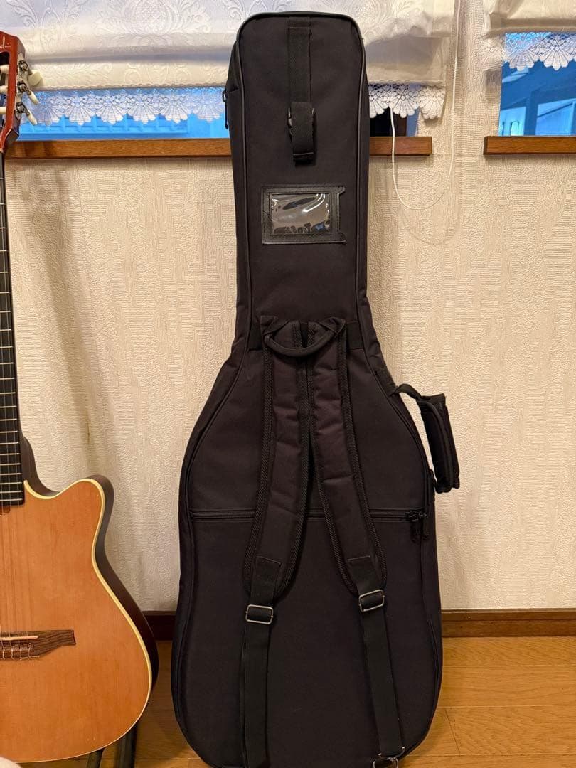 モツ様 Godin Multiac Nylon Encore Natural