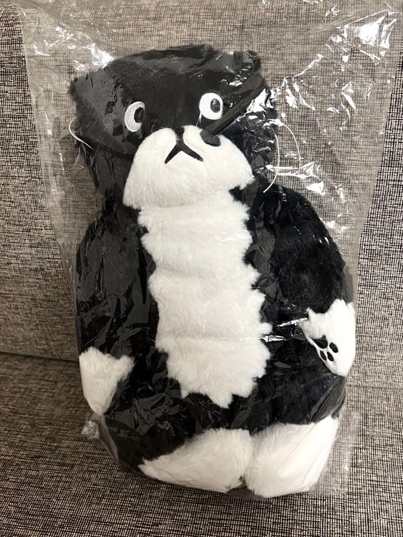 【ハク】アフタヌーンティー チェ・ヨンジュ 子猫のモー