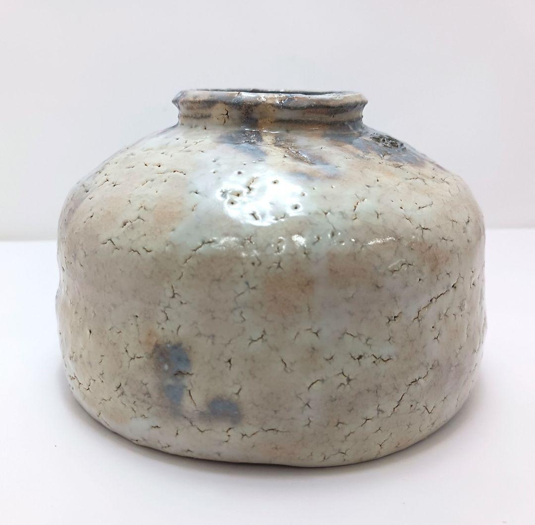 Y2446-6 茶道具 萩茶碗 林紅陽「かすがい」前大徳紹尚 書付 共箱　#4