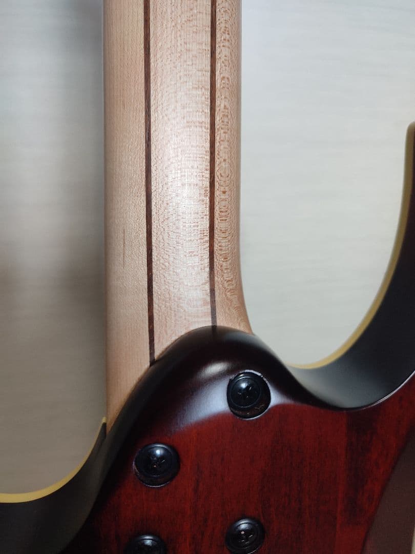 IBANEZ RG870RWZ premium　アメリカ/ヨーロッパ限定モデル