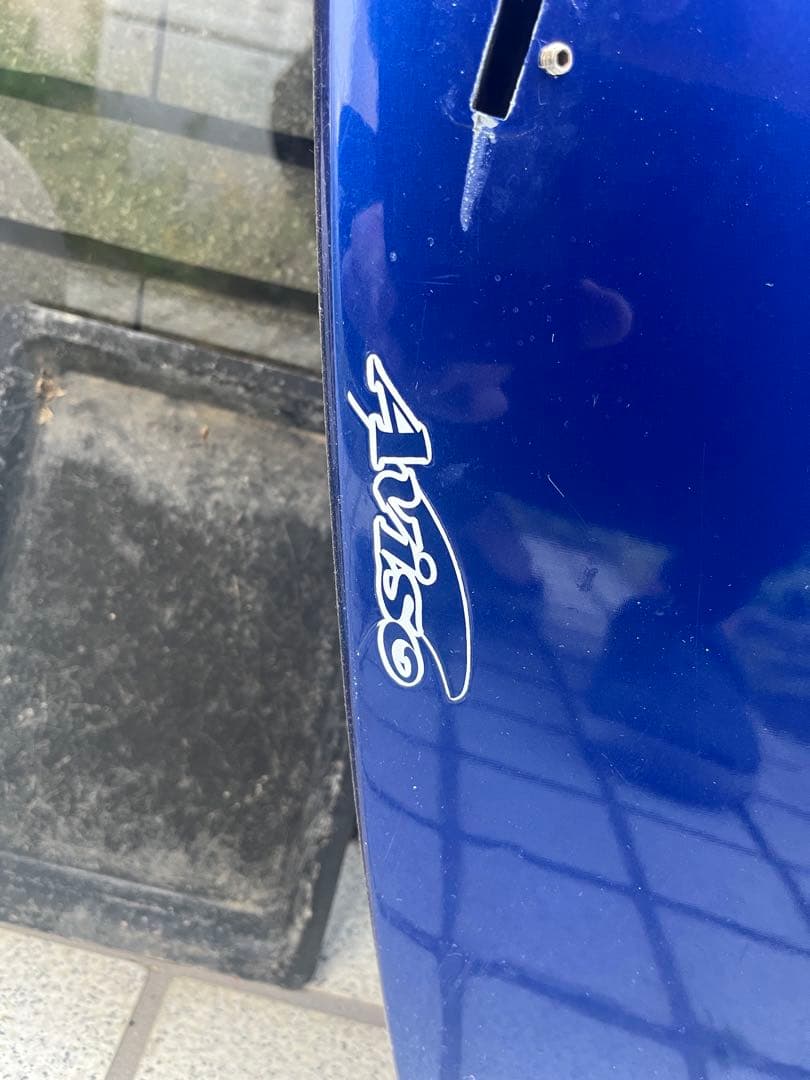 LOST ラウンドノーズフィッシュ　AVISO カーボン