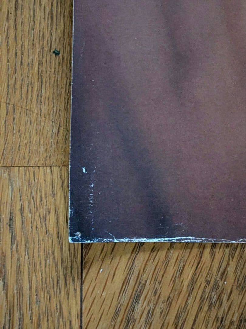 【B1特大ポスター】ZARD「forever you」非売品