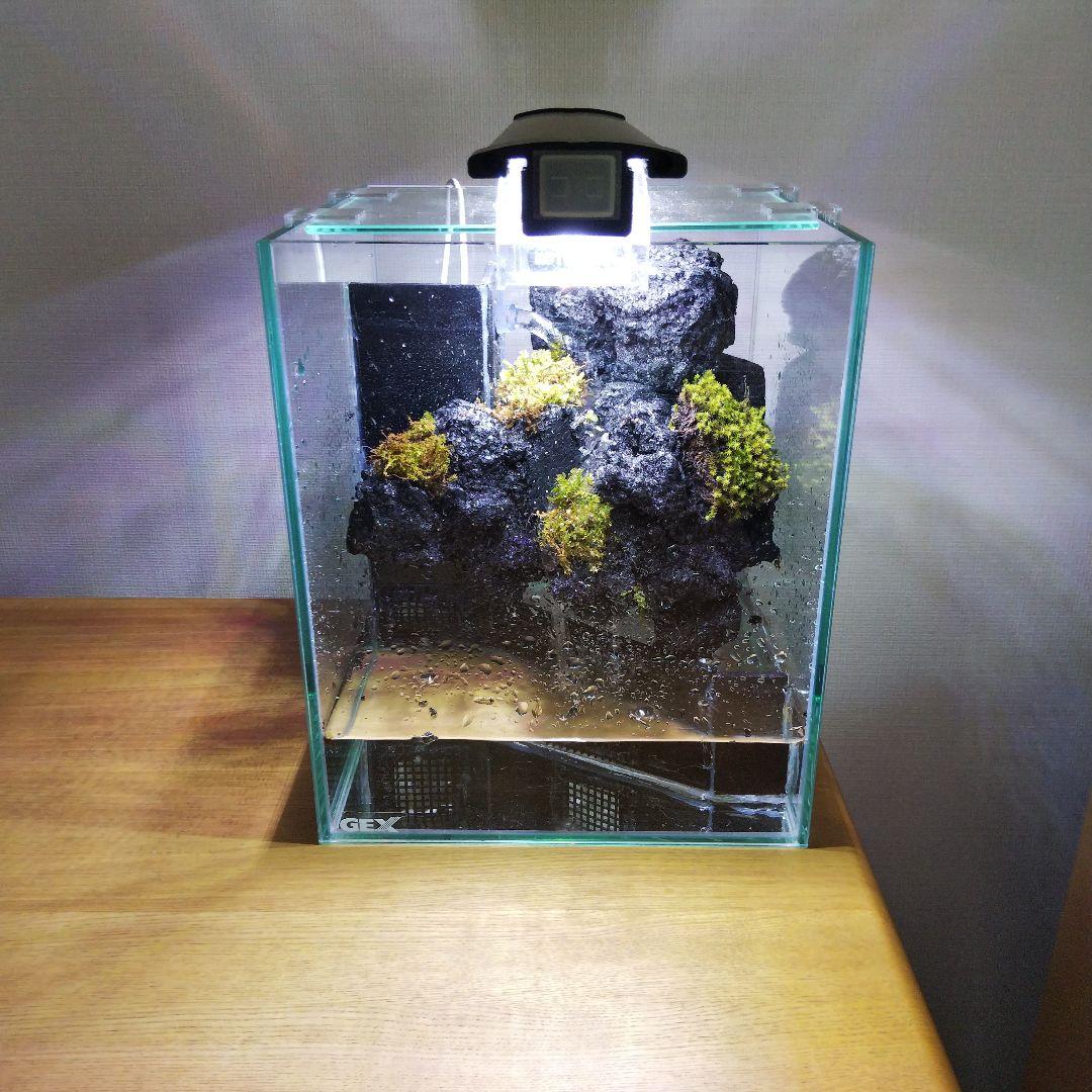 【オーダーメイド】滝のあるアクアテラリウム