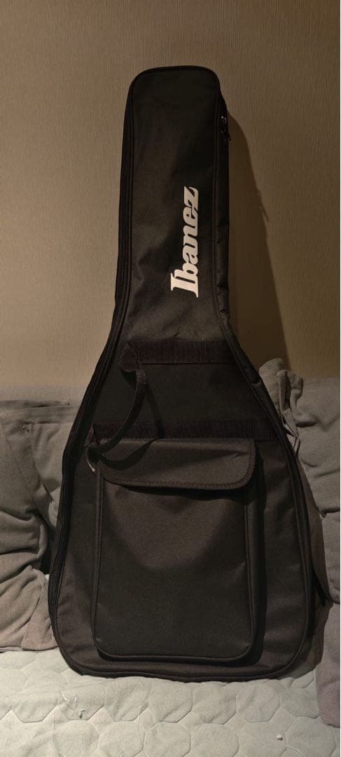 エレキギター　Ibanez grg 121 DX-BKF