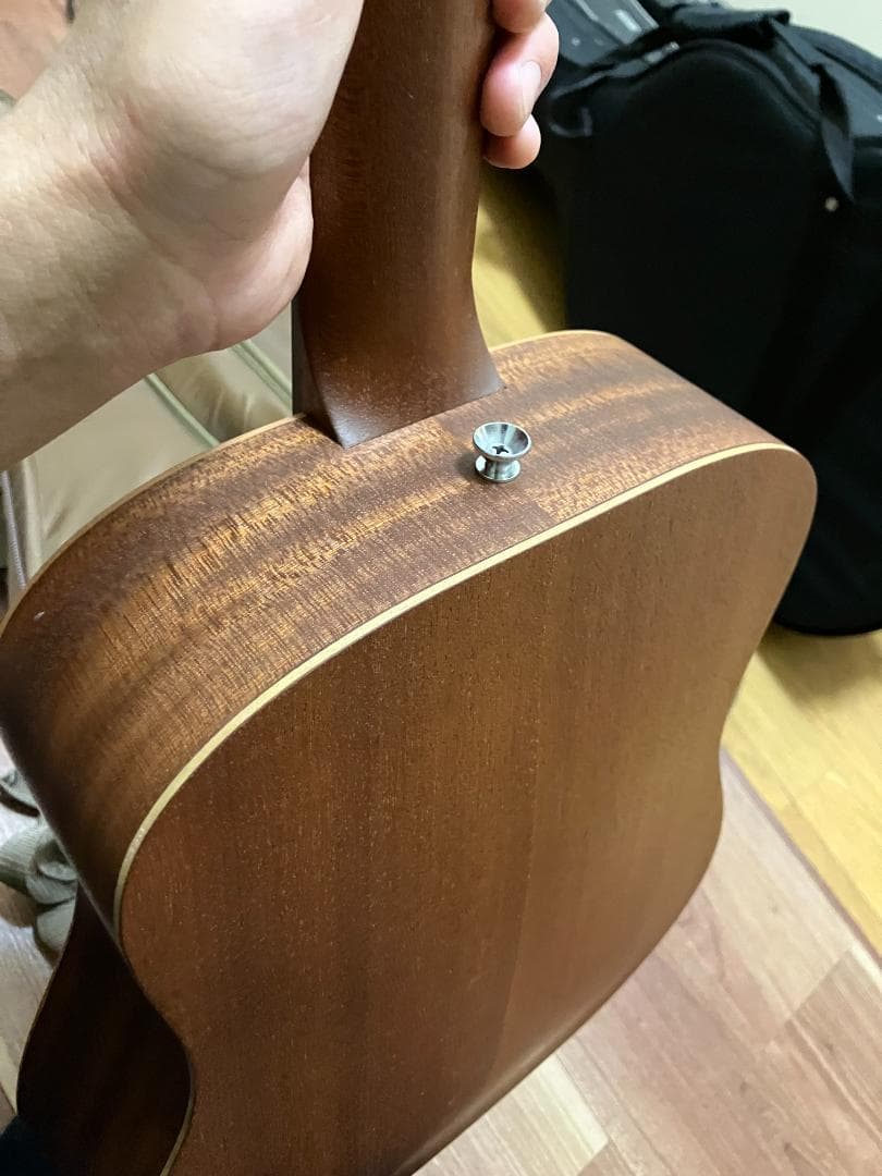 Taylor BT1 ピックガード後付け　ギグバッグ付き