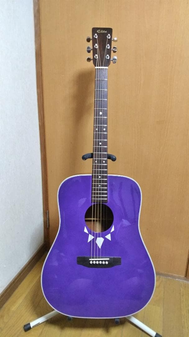 ❤️弦高調整済「Elite TW-20 タカミネ エリート 」(#^.^#)あっ