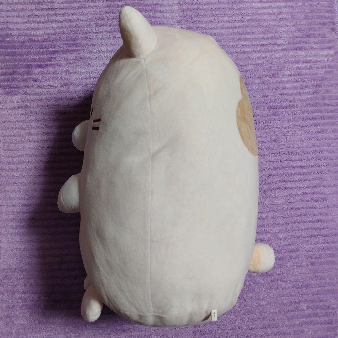 すみっコぐらし ねこ 特大ぬいぐるみ サンエックスネットショップ限定