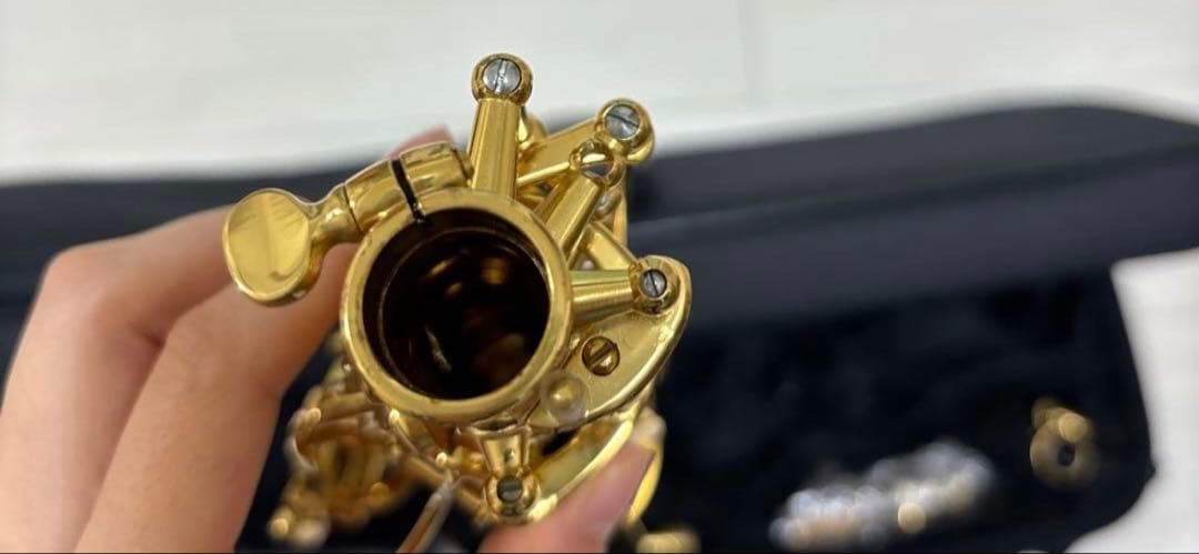 ソプラノサックス 本体 ソフトケース付き