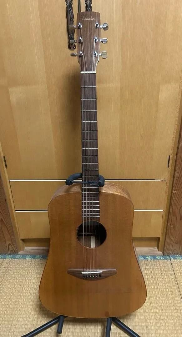 Baden D-Style Mahogany アコースティックギター