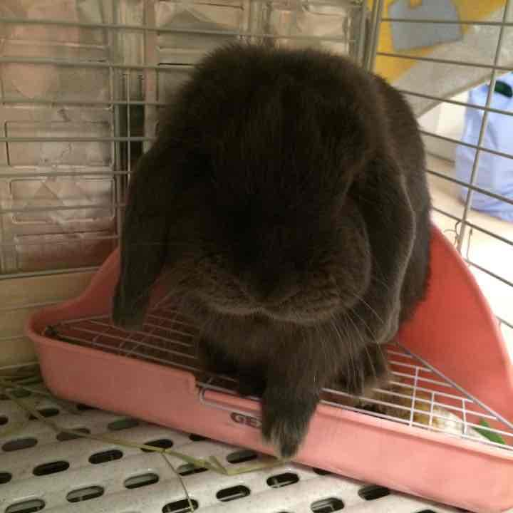 ハンドメイド画像