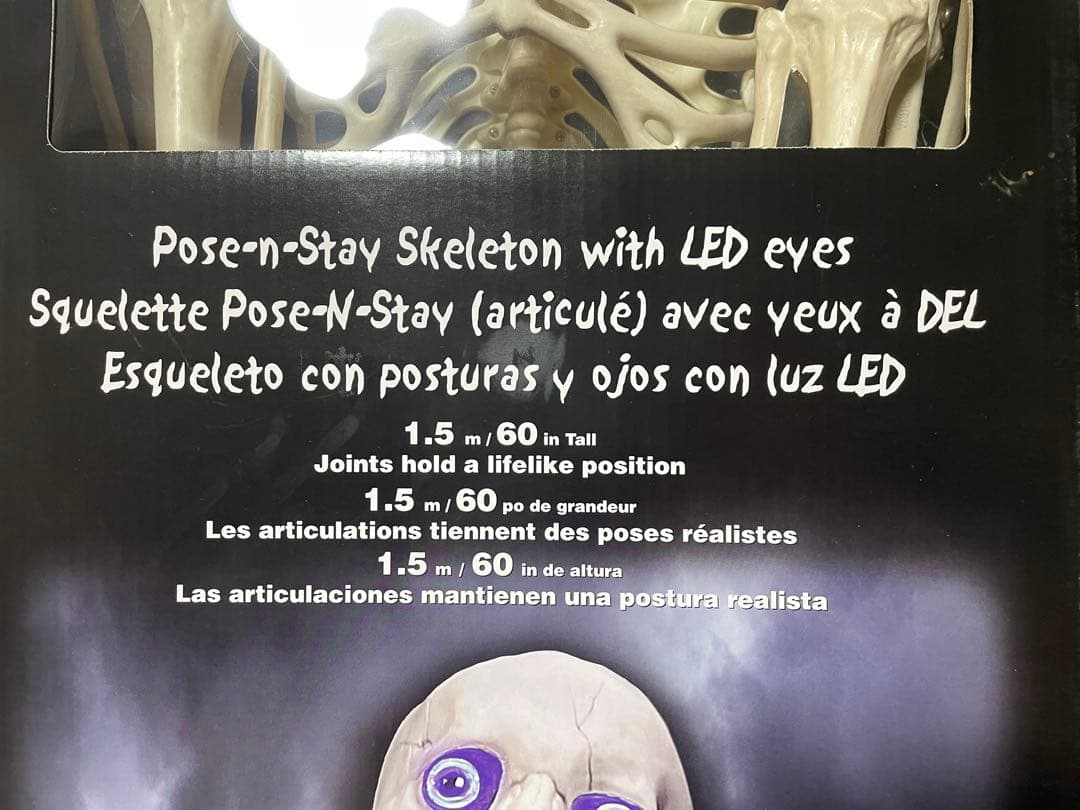 【デカすぎ！】ガイコツ　ハロウィン　人体模型　骨　ハロウィン　150cm