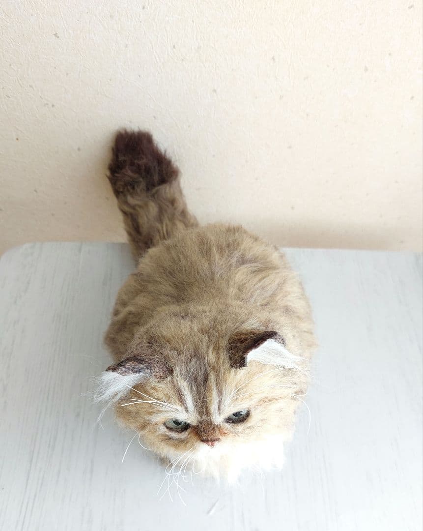 羊毛フェルト　猫(チンチラゴールデン)