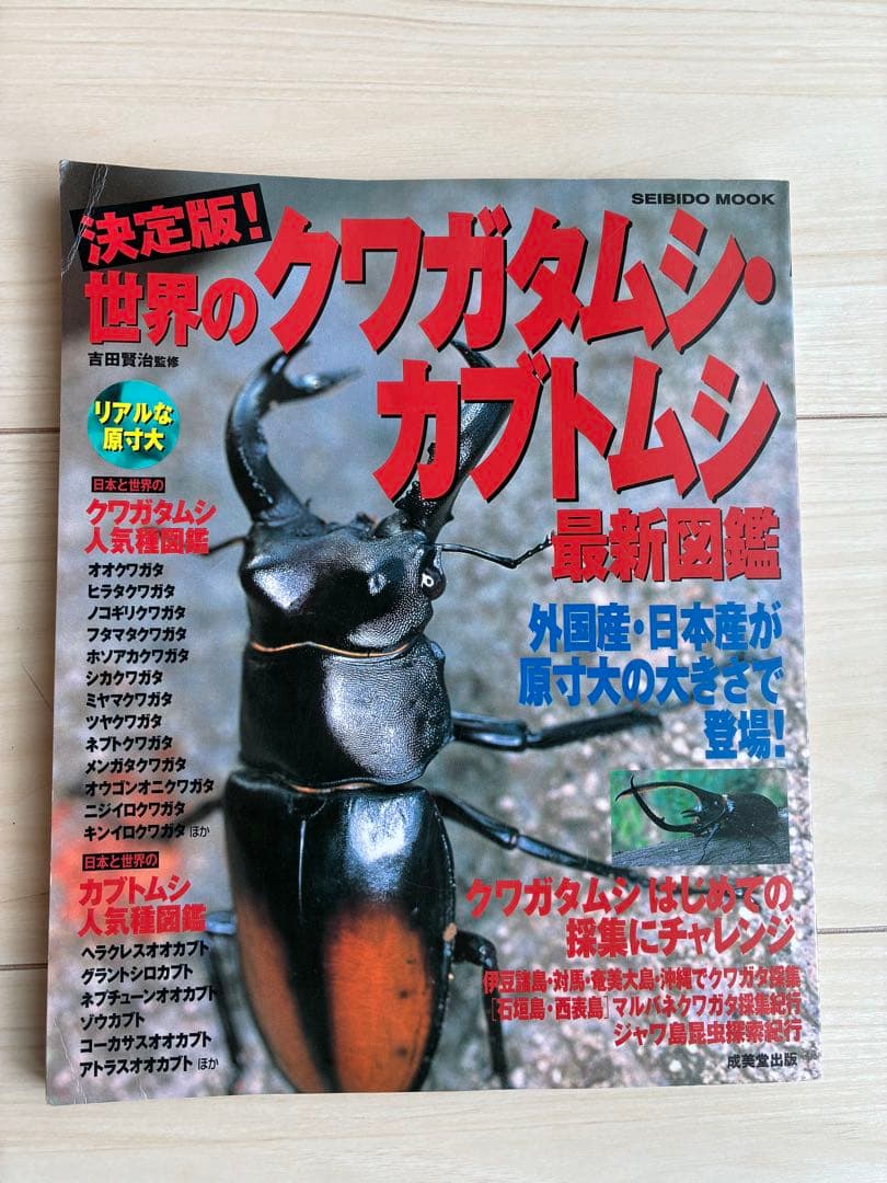 クワガタ標本 セット 標本ケース2個