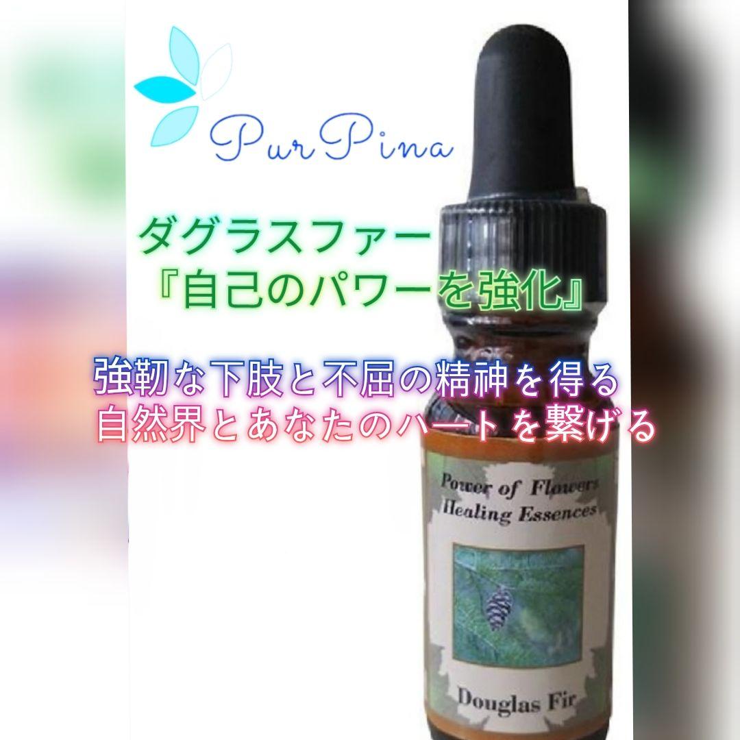 【予約品】ダグラスファー　パワーオブフラワーヒーリング フラワーエッセンス