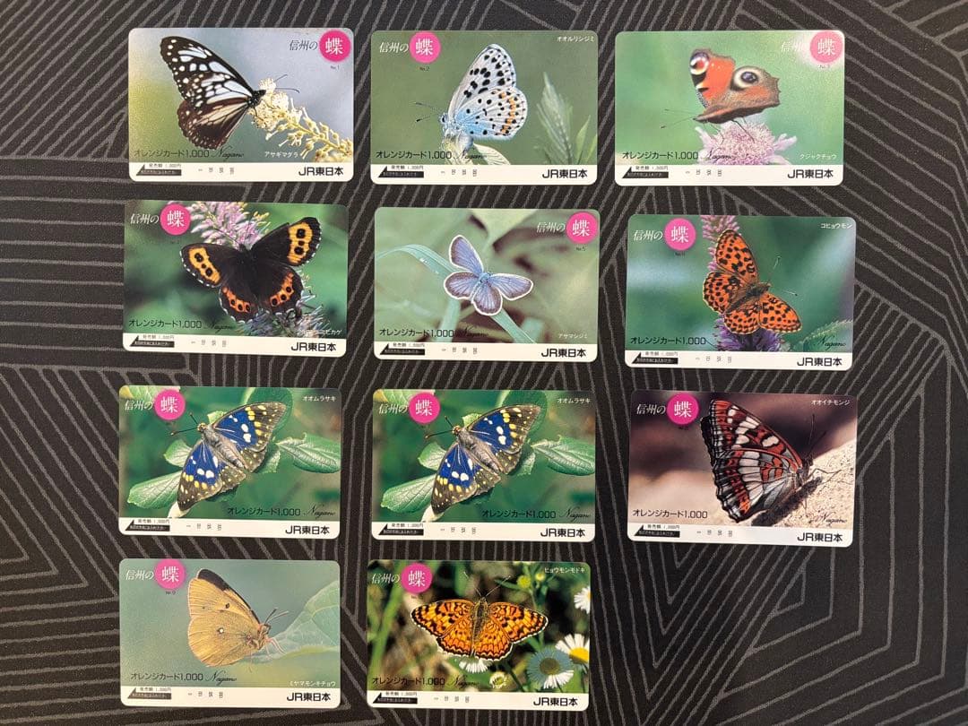 オレンジカード　信州の蝶　11枚