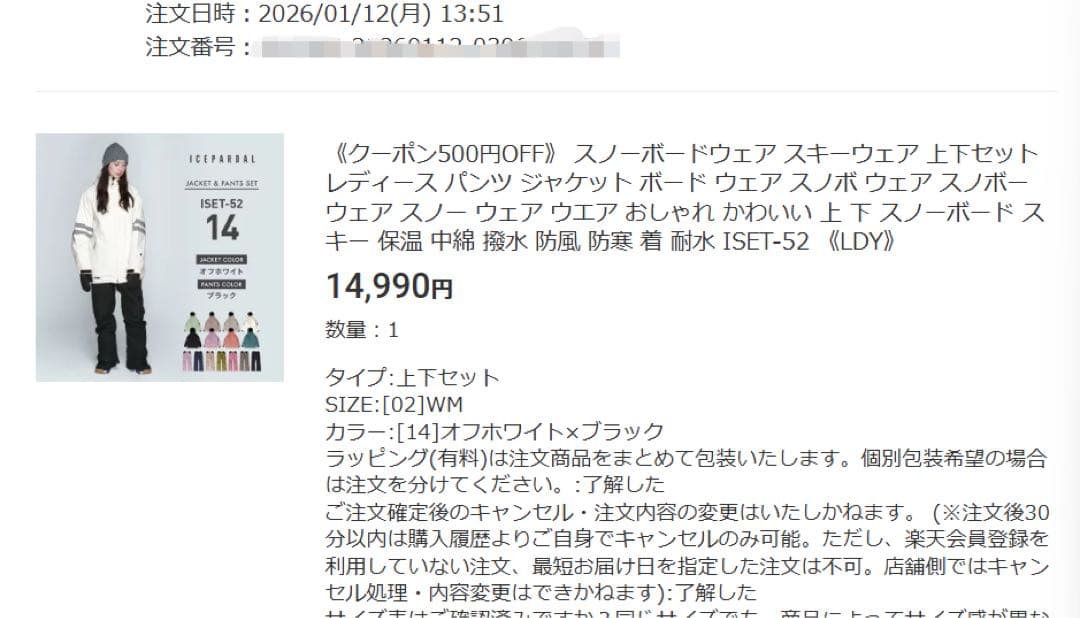 WM（M）サイズ　スノーボードウェア スキーウェア 上下セット レディース