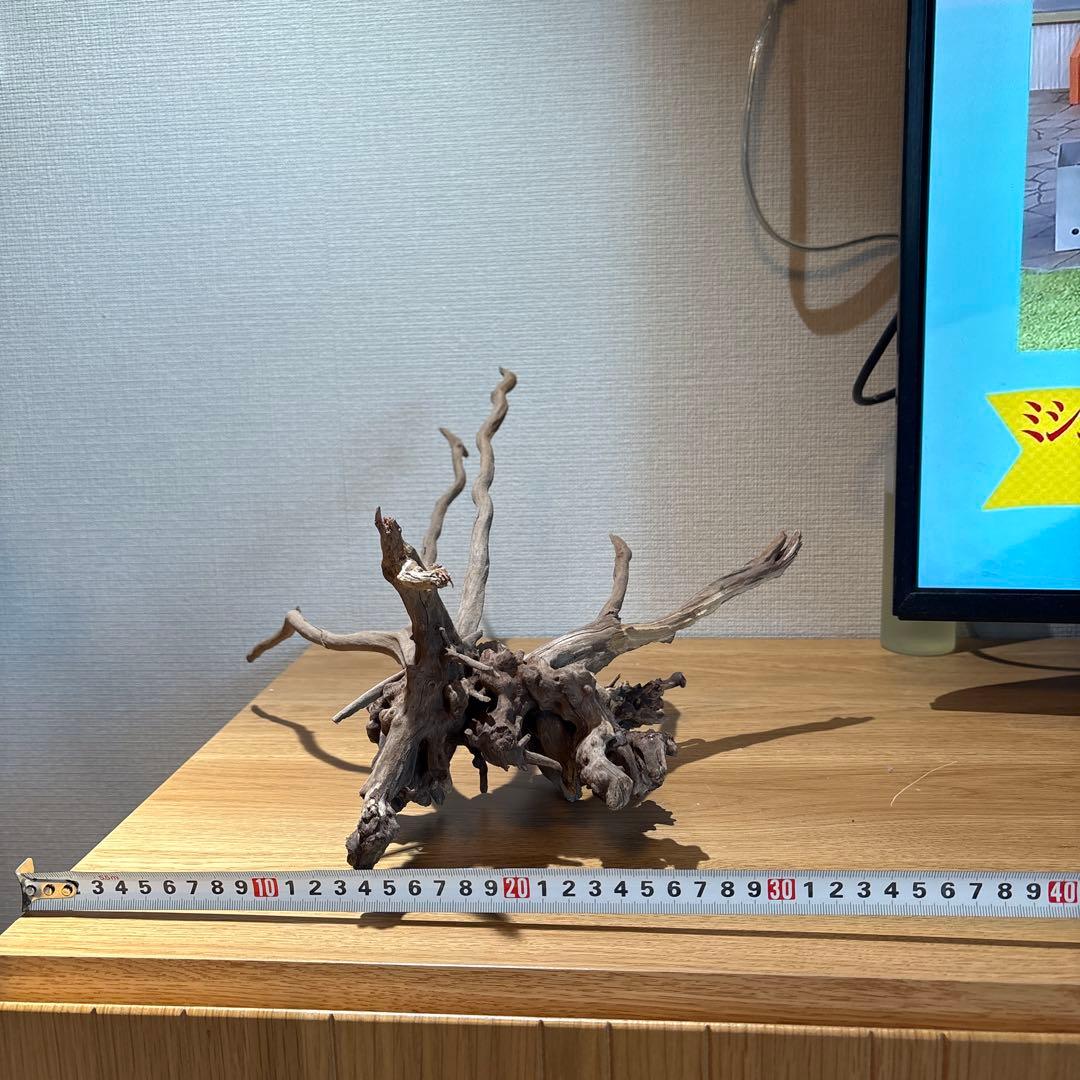 【早い者勝ち】 ADA流木 3本（まとめ買い500円引）