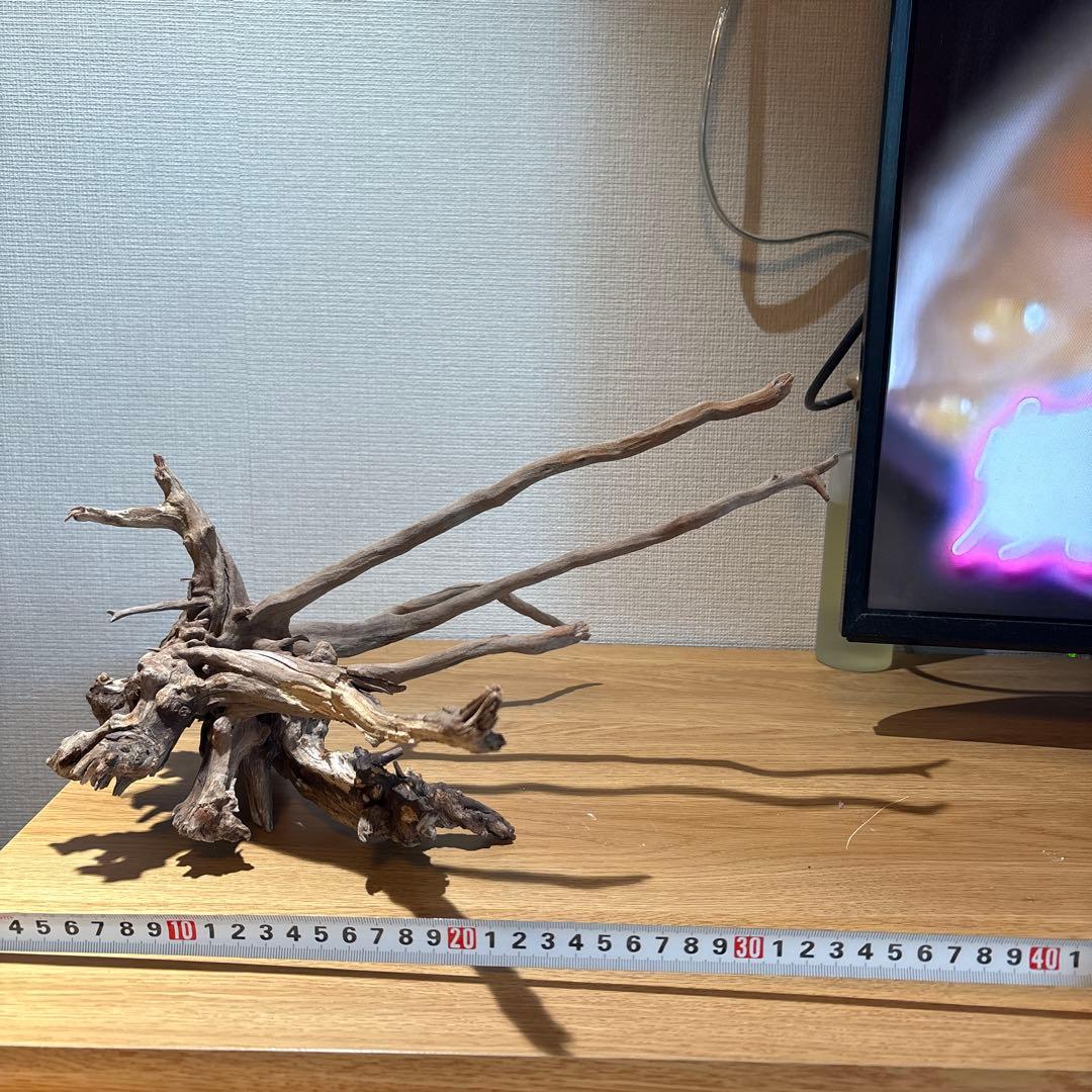 【早い者勝ち】 ADA流木 3本（まとめ買い500円引）