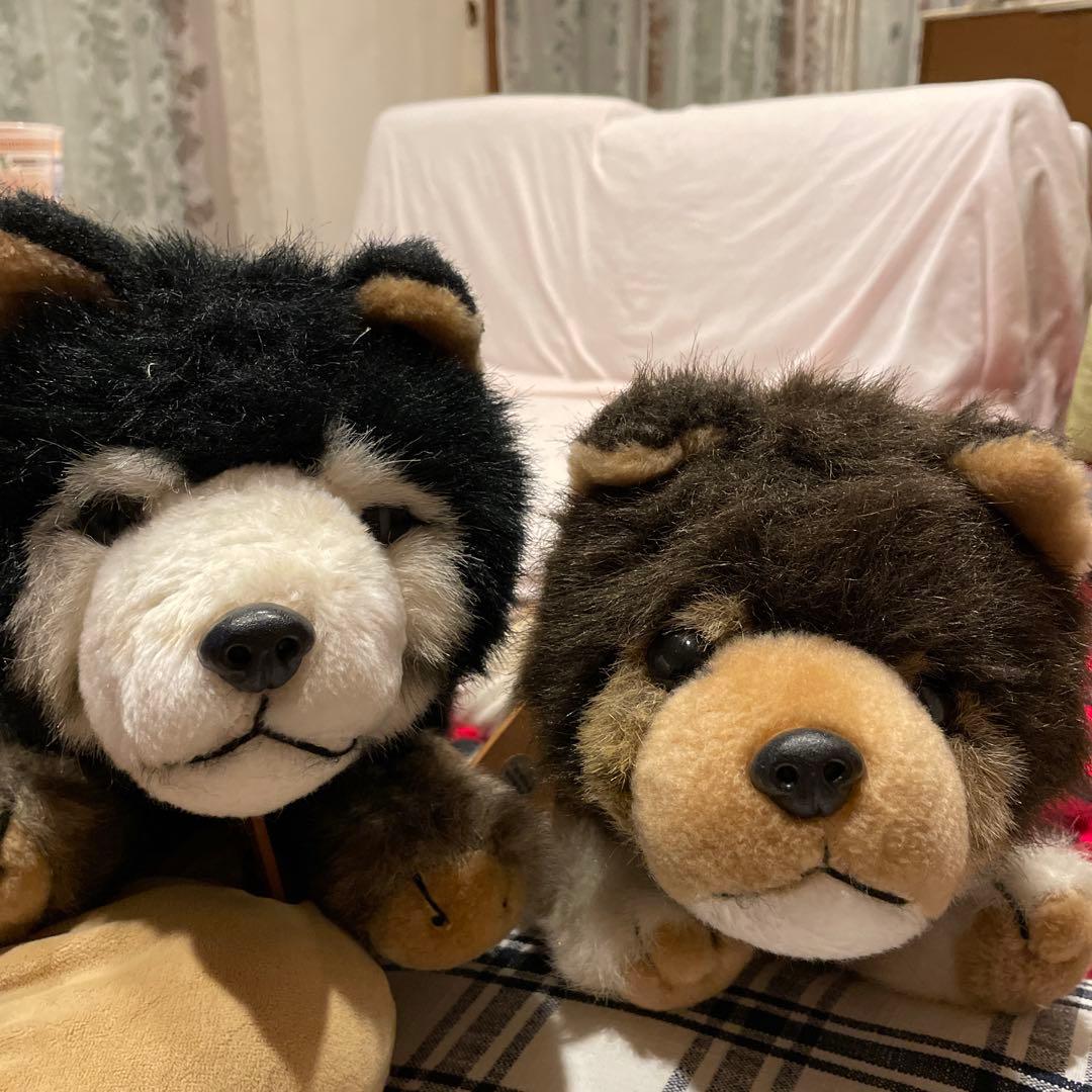 ぬいぐるみ　南極物語　タローとジロー　2体セット