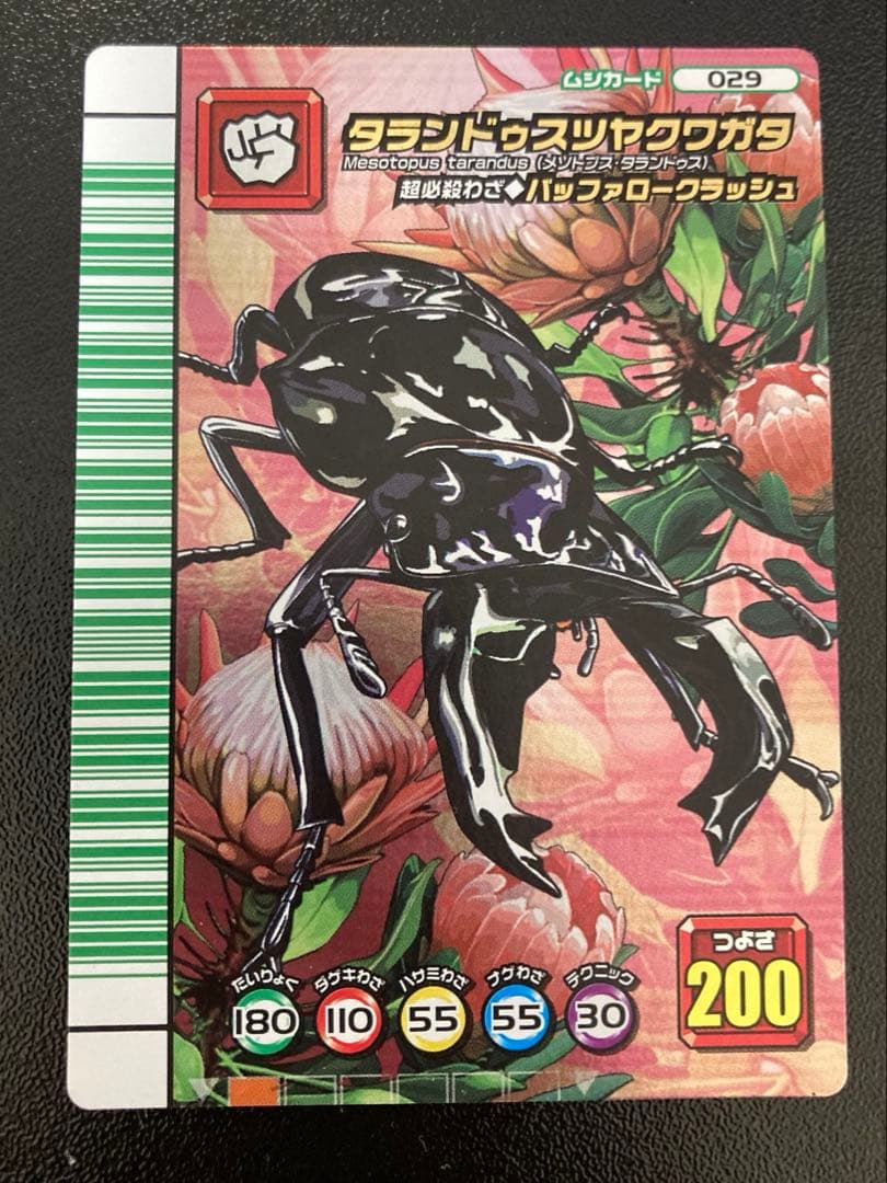タランドゥスツヤクワガタ　ムシキング　5周年　バッファロークラッシュ