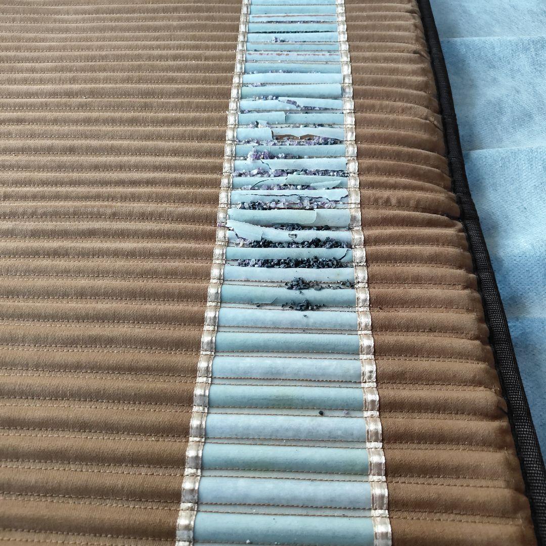 【ジャンク品】リッチウェイ バイオマット Richway BIO-MAT