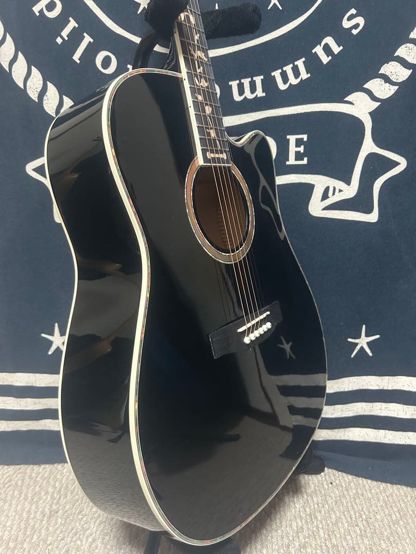 今月末迄‼️特価❣️美品未使用❣️フルセット❣️ ドレッド　アコースティックギター‼️