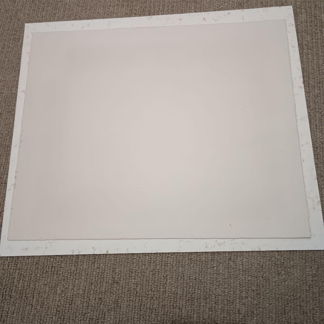 パブロ・ピカソ 347シリーズ 版画　 4.8.69Ⅲ 額サイズ41ｘ36cm