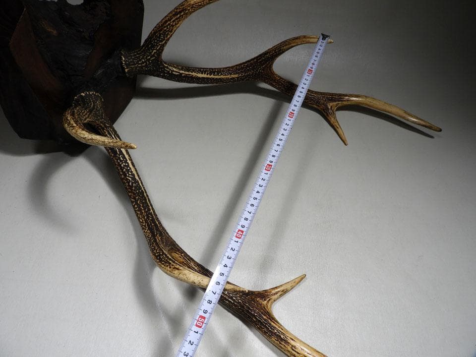 ●逆賊の幕臣 小栗忠順 小栗上野介忠順 所要 墨書 鹿角 刀掛け 三刀掛け 幕末