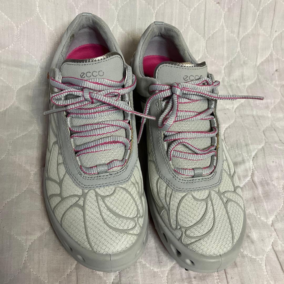 値下げ　新品　ecco ゴルフシューズ