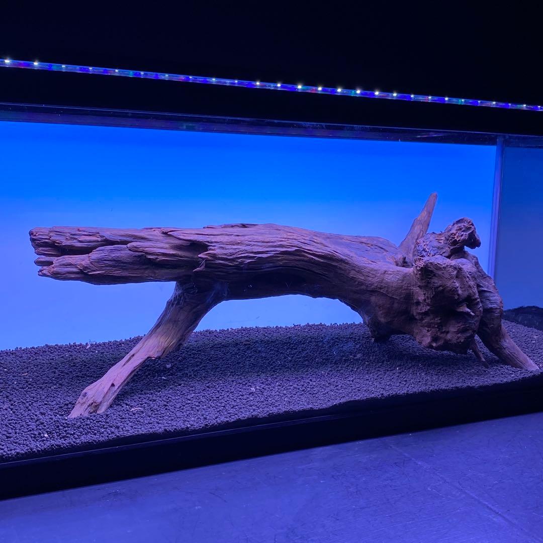 MRW-6567 特大自立赤系流木　1点物　自立流木　一点物90cm水槽用
