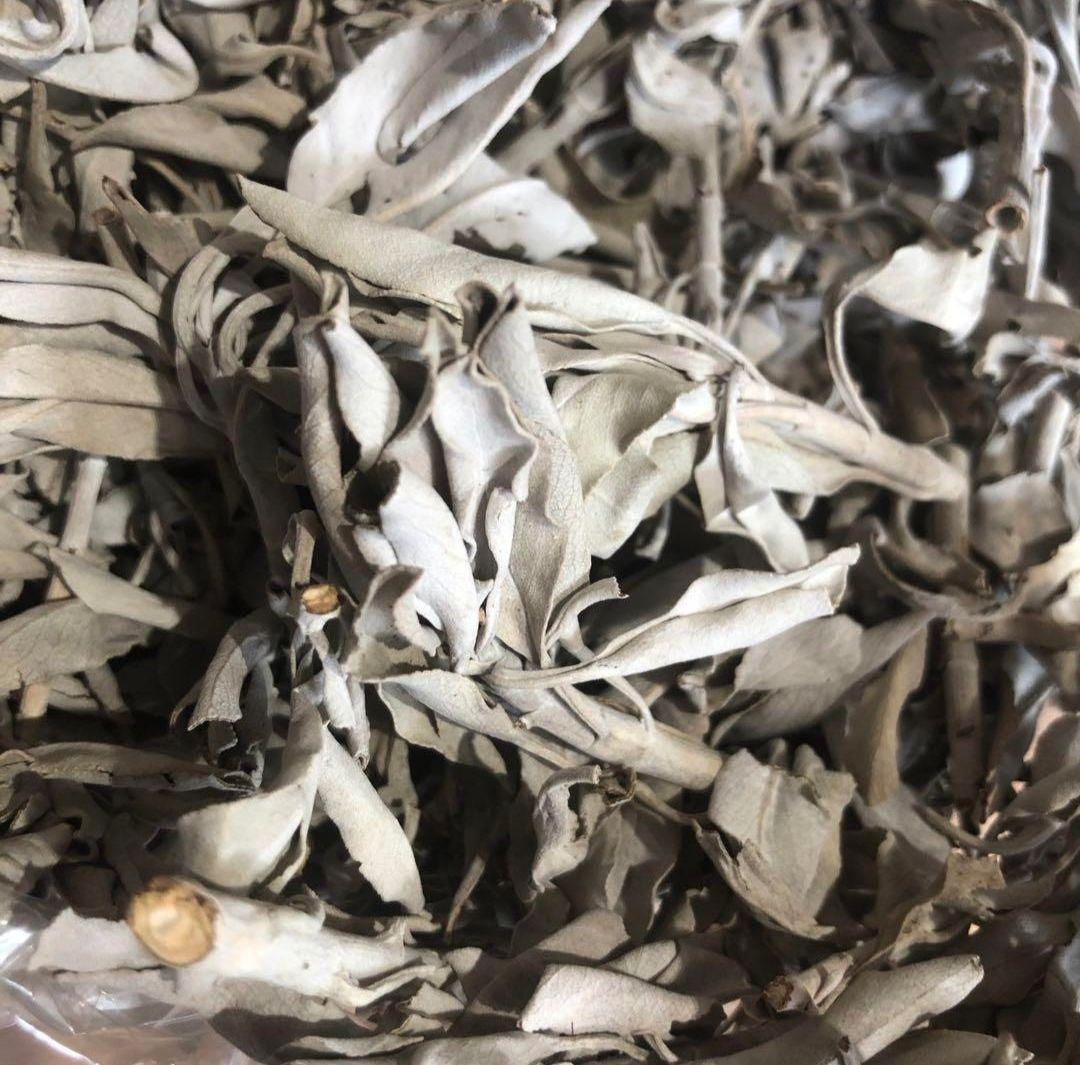 激安価格タイムセール☆無農薬ホワイトセージ枝付きクラスター１ｋｇ