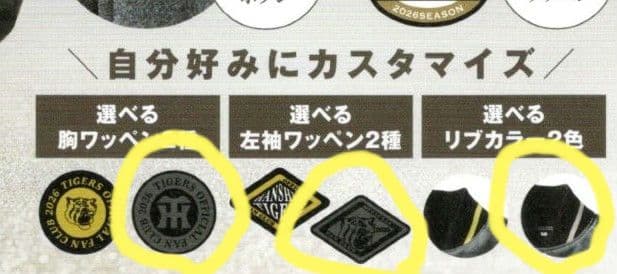 阪神タイガース　ダイヤモンドプラス特典　セミオーダースタジアムジャンパー