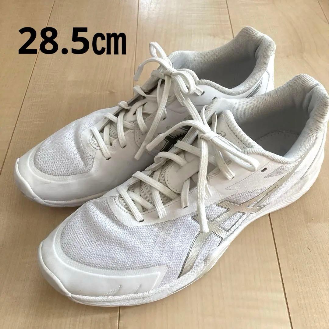 ASICS バレーボールシューズ ホワイト　オーダーシューズ　28.5㎝