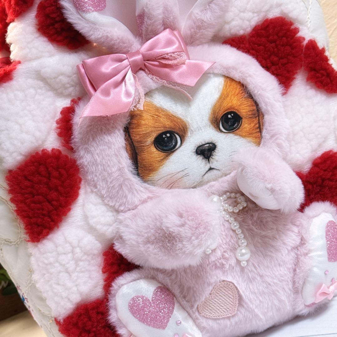 あ*き様 コヤンイサムチョン♡bigうさ着ぐるみアンコちゃんのハートのラウンドト