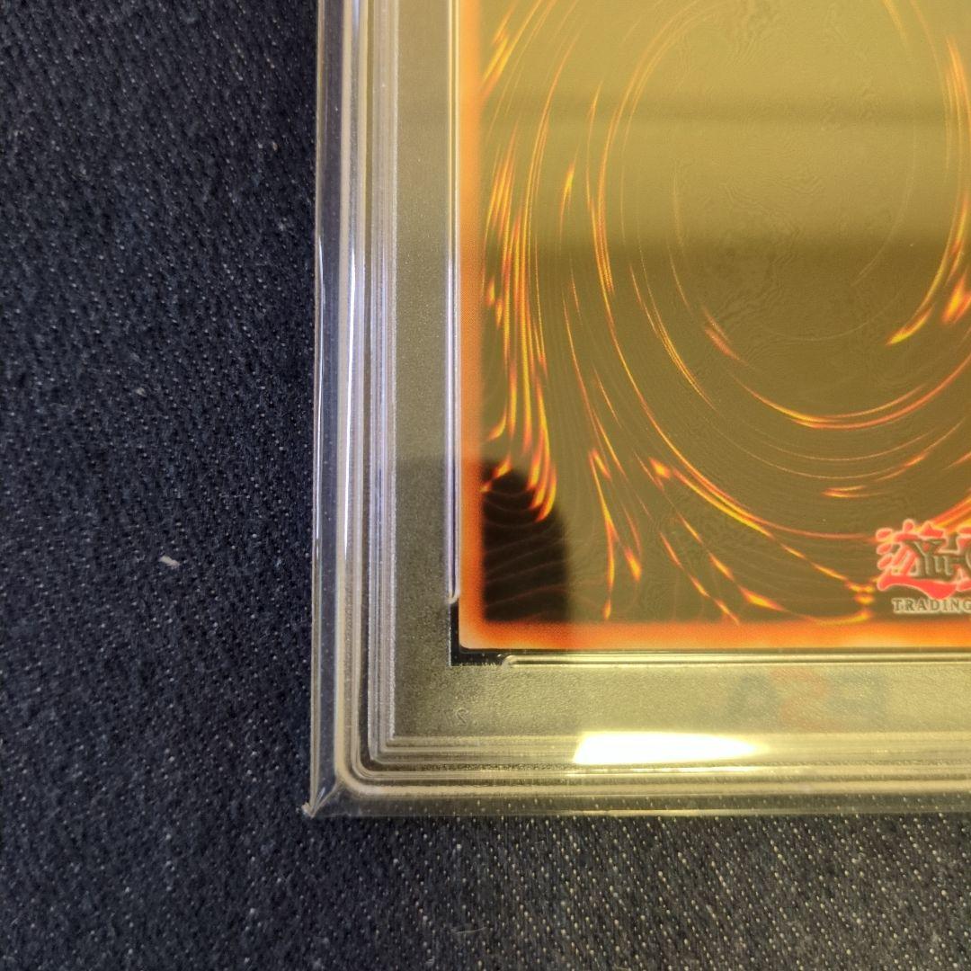 （PSA8）【匿名配送】WCS-EN403　千年原人