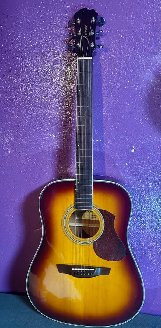 James J-300 D アコースティックギター