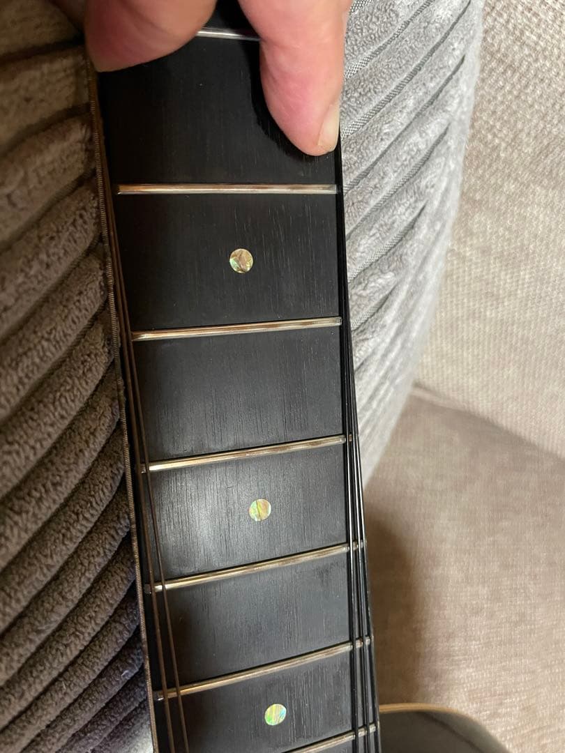 ギター Lakewood A-45 Custom Ziricote Europian